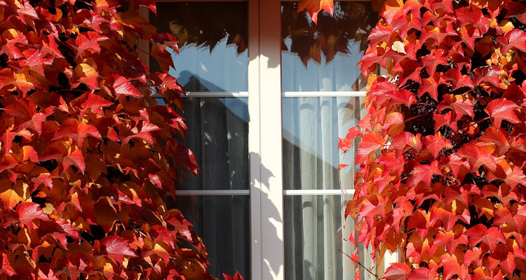 aislamiento-ventanas-laminas-solares